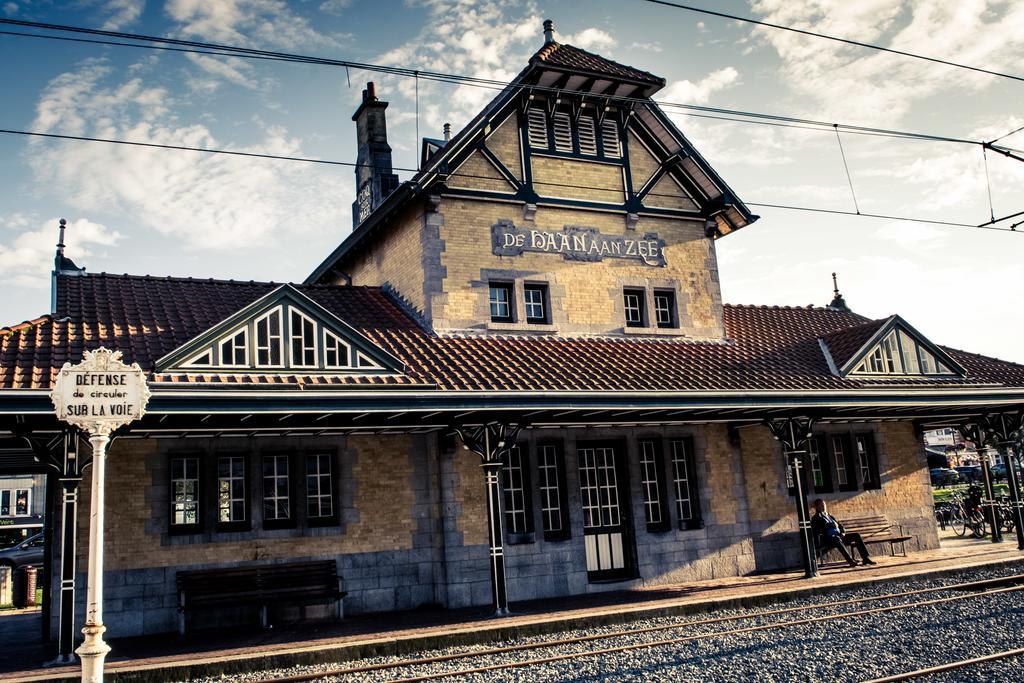 Villa Les Hirondelles De Haan Buitenkant foto